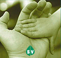 Titelbild Soziale Sicherheit mit SV-Logo 2013 .jpg